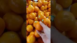 Orange Fruit#orange#orangefruit#shortvideo#short#fruit#yooragardentips