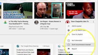 How TO RESET if I clicked "Don't recommend channel"