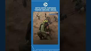 Detik detik Ratusan Tawon Serang Israel