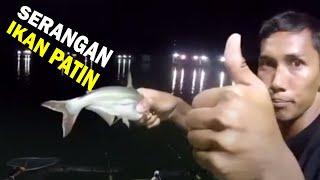 Mancing Ikan Patin Di Waduk Wadaslintang Terbaru