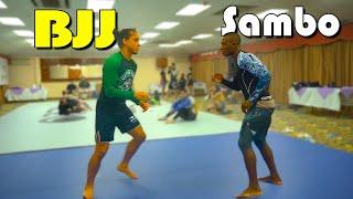 Sambo Fighter Punks Jiu Jitsu Brown Belt