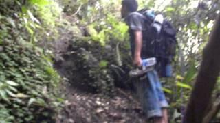 Pendakian gunung seminung bersama sahabat sangkar mahmud stkipm kotabumi