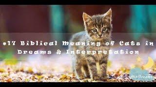 Biblical Meaning of Cats in Dreams and Interpretation