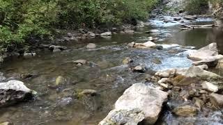 Will Burrell - Bridger Creek Upstream of Fish Hatchery