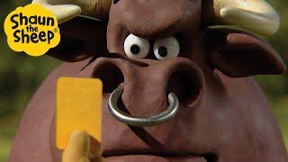 Shaun the Sheep  The Angry Bull  Full Episodes Compilation [1 hour]