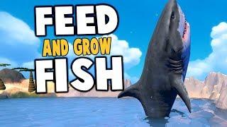 THE MIGHTY MEGALODON! BIGGEST SHARK EVER - Feed and Grow Fish Gameplay