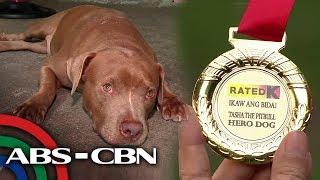 Bayani si Doggie | Rated K