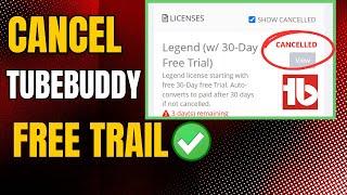 How To Cancel Your Tubebuddy Free Trail I Cancel Tubebuddy License