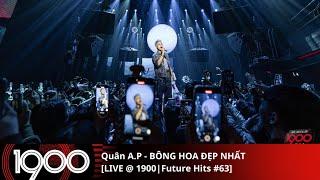 Quân A.P - BÔNG HOA ĐẸP NHẤT [LIVE @1900 | Future Hits #63 | Wednesday 25.12.2024]