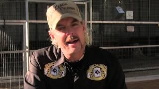 Carole Baskin CEO of Big Cat Rescue Stalks Joe Exotic