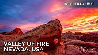 Valley Of Fire State Park, Nevada, USA - In The Field #561