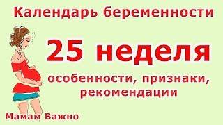 25 неделя беременности: изменения, особенности, рекомендации