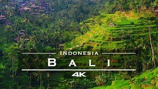 Bali, Indonesia  - by drone [4K]