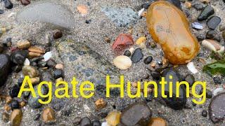 Agate Hunting (Oregon Coast)