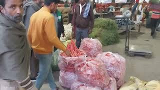 Carrot 8 April 2024/Fruit market Faridkot/Sikander rajput 1#mandi #sabjimandi