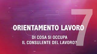 Di cosa si occupa il Consulente del Lavoro?