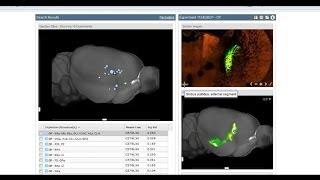 Webinar: Allen Mouse Brain Connectivity Atlas