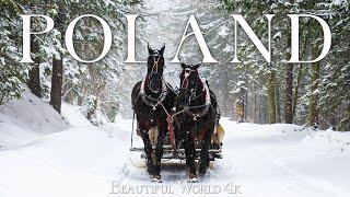 Poland 4K - Captivating Winter Beauty of Tatra Mountains and Bialowieza Forest - Piano Relaxing