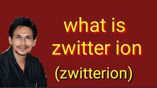 what is zwitter ion.(zwitterion)