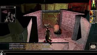 NeverWinter Nights, Silent gameplay