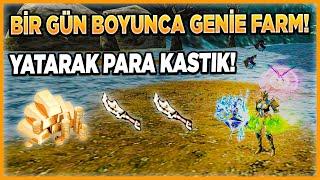 BİR GÜN BOYUNCA GENİE FARM! | AFK GÜZEL PARA KASTIK! | Knight Online Dryads #10 #knightonline