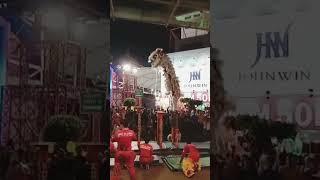 ATRAKSI BARONGSAI DI PRJ 2023