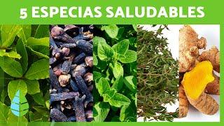 5 ESPECIAS MILAGROSAS que debes INCLUIR en tu DIETA  ¡Descubre sus Beneficios para la Salud!