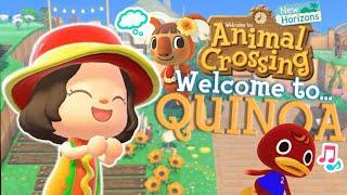 My Third Month In Animal Crossing New Horizons