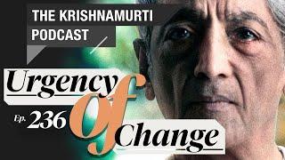 The Krishnamurti Podcast - Ep. 236 - Krishnamurti on Continuity