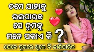 Partner Tamaku Mane Pakae Na Nahin | Partner Tamaku Miss Karuchhi Na Nahin | Love Classes Odia