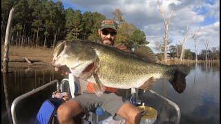 TOP 3 GIANT SPRING LARGEMOUTH BASS (compilation)