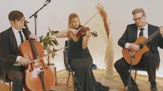 Canon in D - Los Angeles String Trio - Wedding Ceremony Music - Jason Sulkin Music - Alt Trio