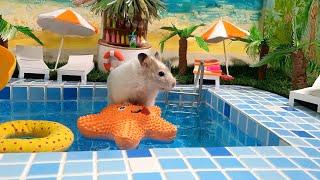 ХОМЯЧКИ в ПОТРЯСАЮЩЕМ ОТЕЛЕ на МОРЕ*** hamsters rest on the sea