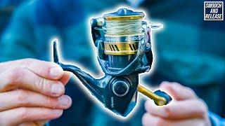 Should You Buy This SHIMANO Reel? (SAHARA REVIEW) BEST REEL UNDER $100 ?