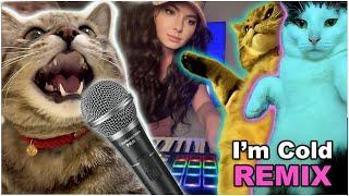 I’m Cold Cat Song - Singing Cat Catchy Tune