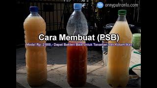 Cara Membuat PSB (Photosynthetic Bacteria) Cepat dan Murah