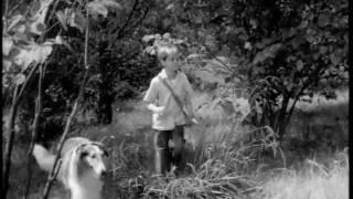 Lassie - The Lion - 14 November 1954 (Preview Clip)