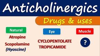 Anticholinergics - Drugs and uses