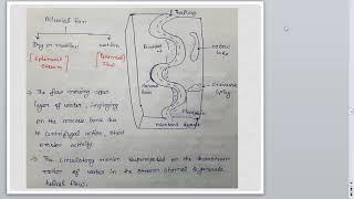 Sedimentary Environment and Facies Part 3