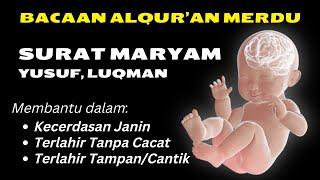 SURAH MARYAM YUSUF dan LUQMANA Latin & Terjemahan, Surah Untuk Ibu Hamil agar Selamat dan Bayi Sehat