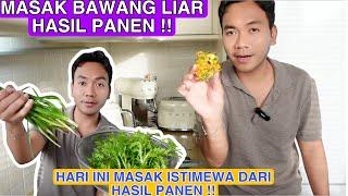 MASAK BAWANG LIAR HASIL PANEN DI HUTAN !! BIKIN BAKWAN KREZZ DAN MENU SPESIAL !!