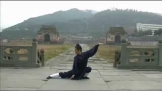 Wudang Five Animals Qi Gong (武当五行气功)