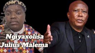 Ngizwe Mchunu uxolisa ku Julius Malema