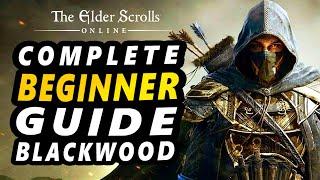 ESO - Complete Beginner Guide - Blackwood Edition 2021