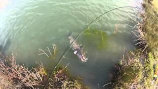 Catfish on a Crappie Pole