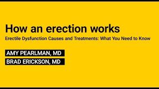 2. How an erection works