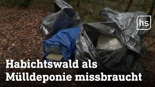 Müll landet illegal im Wald | hessenschau