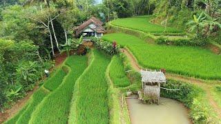 LUAR BIASA !! KAMPUNG TERPENCIL YANG SUPER INDAH PEMANDANGAN ALAM DESA | SUASANA PEDESAAN JAWA BARAT