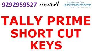 #tallyprime #shortcutkeys  WITH LIVE LIVE EXAMPLE-తెలుగు లో