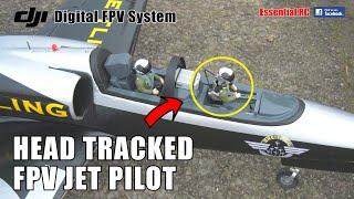 RC JET PILOTING FROM THE COCKPIT !!! FREEWING L-39 DJI DIGITAL FPV WITH HEAD TRACKING | PILOT: GUI